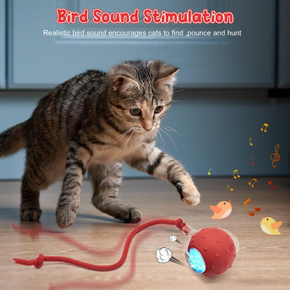 Cat&Dog Toy, Interactive Cat Toys Ball for Indoor Cats Fast Rolling on Carpet, Chirping & Motion Activate Cat Toys with USB Rechargeable, Anti-Depression Fun Gift for Cats Dogs