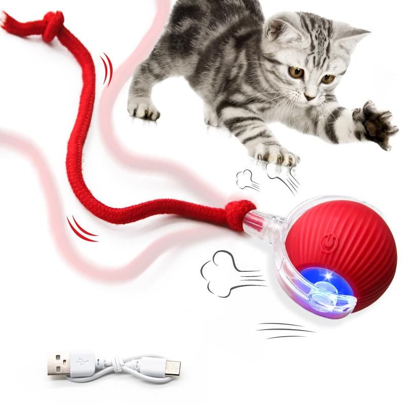 Cat&Dog Toy, Interactive Cat Toys Ball for Indoor Cats Fast Rolling on Carpet, Chirping & Motion Activate Cat Toys with USB Rechargeable, Anti-Depression Fun Gift for Cats Dogs