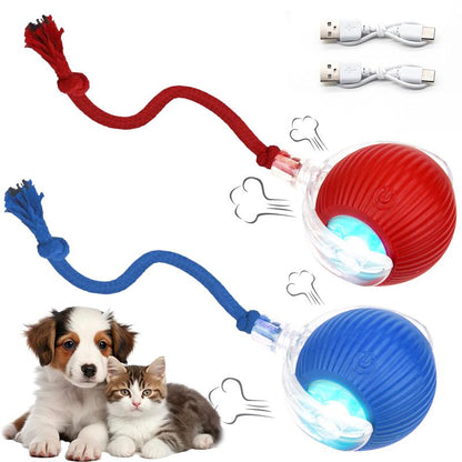 Cat&Dog Toy, Interactive Cat Toys Ball for Indoor Cats Fast Rolling on Carpet, Chirping & Motion Activate Cat Toys with USB Rechargeable, Anti-Depression Fun Gift for Cats Dogs