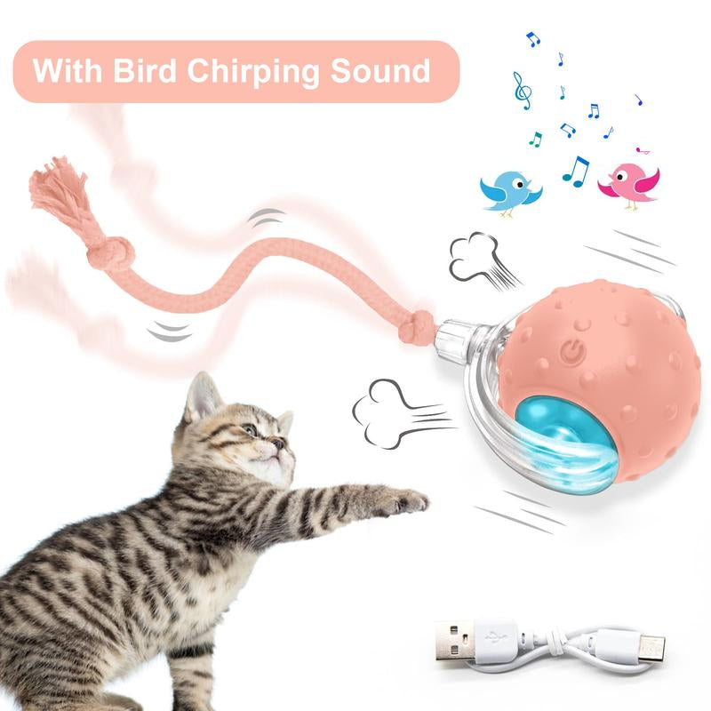 Cat&Dog Toy, Interactive Cat Toys Ball for Indoor Cats Fast Rolling on Carpet, Chirping & Motion Activate Cat Toys with USB Rechargeable, Anti-Depression Fun Gift for Cats Dogs