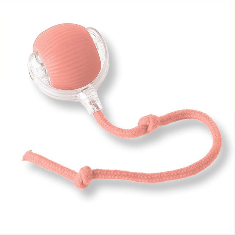 Cat&Dog Toy, Interactive Cat Toys Ball for Indoor Cats Fast Rolling on Carpet, Chirping & Motion Activate Cat Toys with USB Rechargeable, Anti-Depression Fun Gift for Cats Dogs