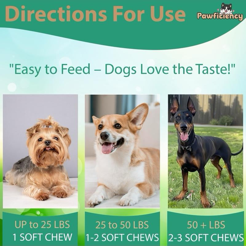 Pawficiency Dog Multi Supplement - 60 Soft Chews - Beef Liver Flavor - Daily Canine Supplement for Joint Health, Skin & Coat, Gut Health - All Dog Breeds & Ages