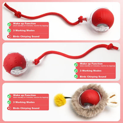 Cat&Dog Toy, Interactive Cat Toys Ball for Indoor Cats Fast Rolling on Carpet, Chirping & Motion Activate Cat Toys with USB Rechargeable, Anti-Depression Fun Gift for Cats Dogs