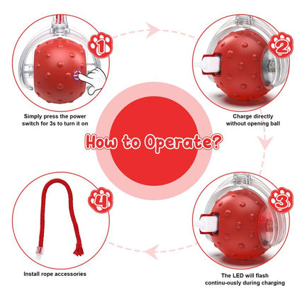 Cat&Dog Toy, Interactive Cat Toys Ball for Indoor Cats Fast Rolling on Carpet, Chirping & Motion Activate Cat Toys with USB Rechargeable, Anti-Depression Fun Gift for Cats Dogs