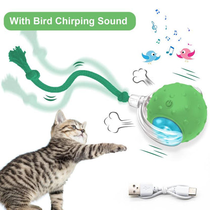 Cat&Dog Toy, Interactive Cat Toys Ball for Indoor Cats Fast Rolling on Carpet, Chirping & Motion Activate Cat Toys with USB Rechargeable, Anti-Depression Fun Gift for Cats Dogs