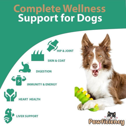 Pawficiency Dog Multi Supplement - 60 Soft Chews - Beef Liver Flavor - Daily Canine Supplement for Joint Health, Skin & Coat, Gut Health - All Dog Breeds & Ages
