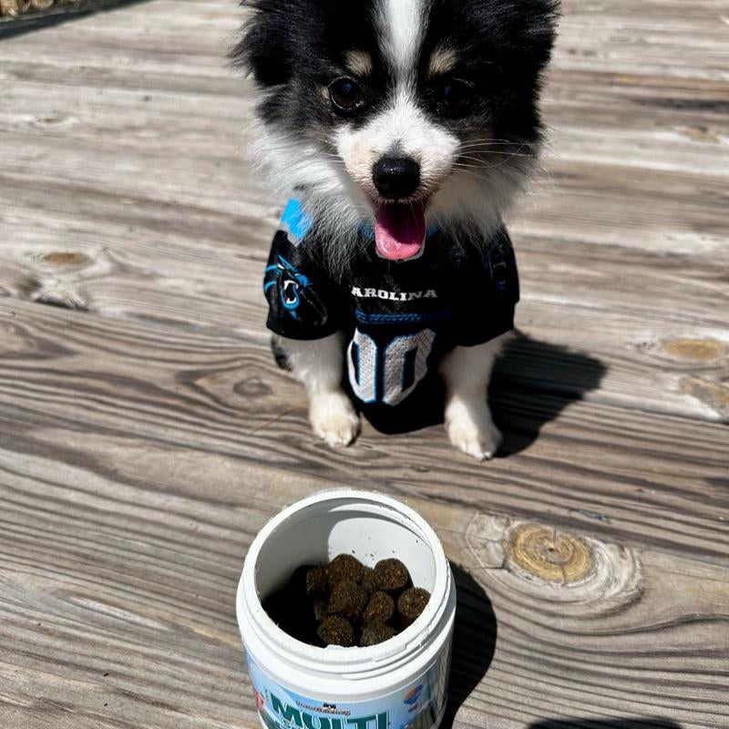 Pawficiency Dog Multi Supplement - 60 Soft Chews - Beef Liver Flavor - Daily Canine Supplement for Joint Health, Skin & Coat, Gut Health - All Dog Breeds & Ages