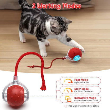 Cat&Dog Toy, Interactive Cat Toys Ball for Indoor Cats Fast Rolling on Carpet, Chirping & Motion Activate Cat Toys with USB Rechargeable, Anti-Depression Fun Gift for Cats Dogs
