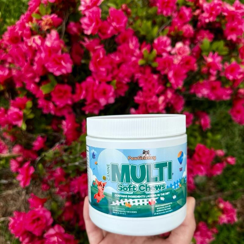 Pawficiency Dog Multi Supplement - 60 Soft Chews - Beef Liver Flavor - Daily Canine Supplement for Joint Health, Skin & Coat, Gut Health - All Dog Breeds & Ages