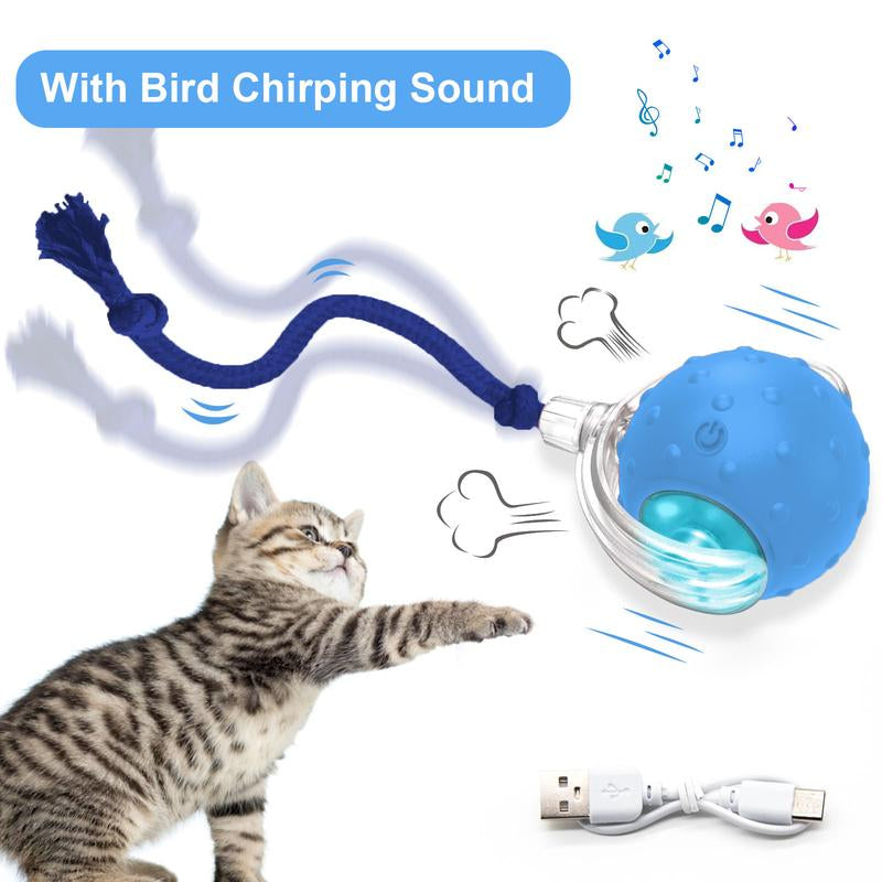 Cat&Dog Toy, Interactive Cat Toys Ball for Indoor Cats Fast Rolling on Carpet, Chirping & Motion Activate Cat Toys with USB Rechargeable, Anti-Depression Fun Gift for Cats Dogs