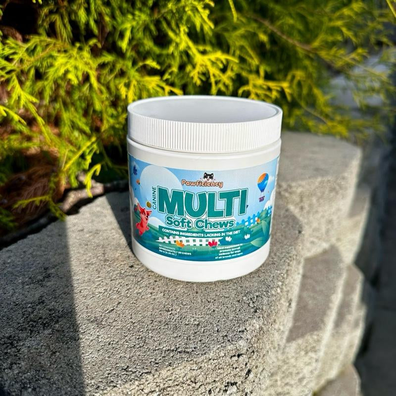 Pawficiency Dog Multi Supplement - 60 Soft Chews - Beef Liver Flavor - Daily Canine Supplement for Joint Health, Skin & Coat, Gut Health - All Dog Breeds & Ages
