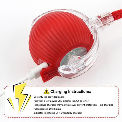 Cat&Dog Toy, Interactive Cat Toys Ball for Indoor Cats Fast Rolling on Carpet, Chirping & Motion Activate Cat Toys with USB Rechargeable, Anti-Depression Fun Gift for Cats Dogs