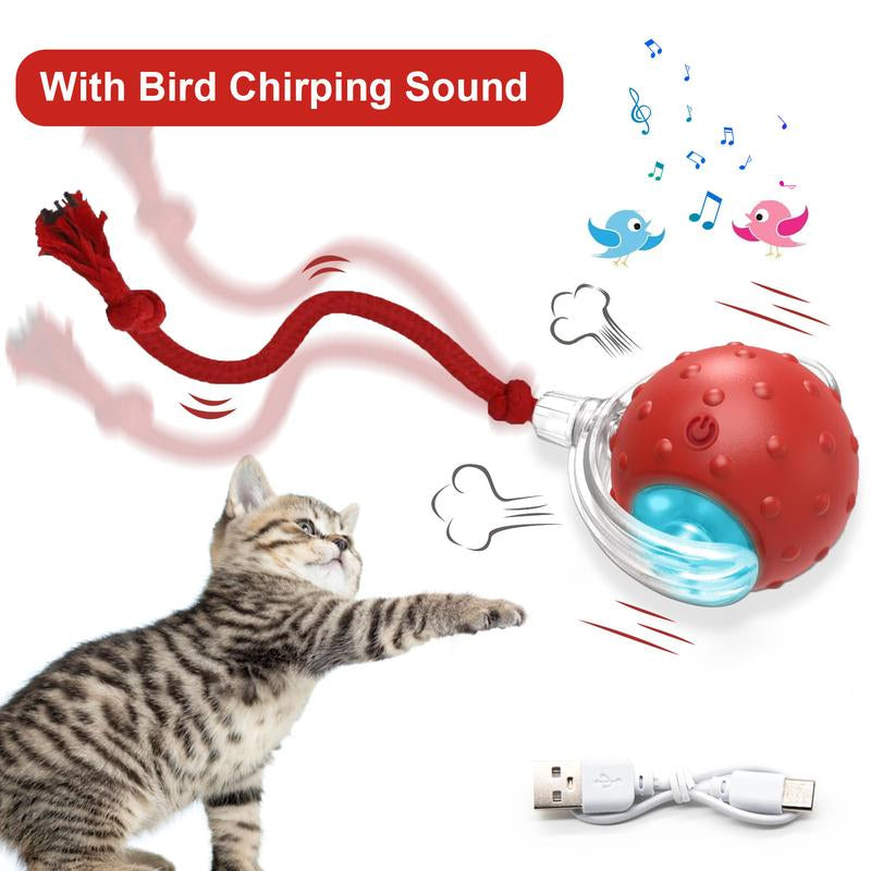 Cat&Dog Toy, Interactive Cat Toys Ball for Indoor Cats Fast Rolling on Carpet, Chirping & Motion Activate Cat Toys with USB Rechargeable, Anti-Depression Fun Gift for Cats Dogs