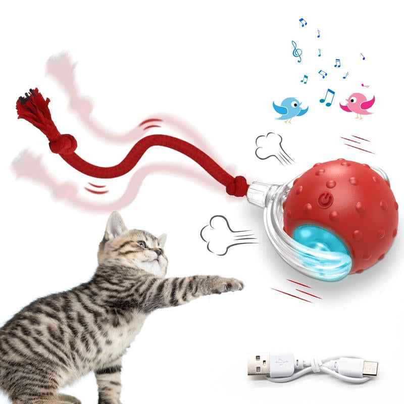 Cat&Dog Toy, Interactive Cat Toys Ball for Indoor Cats Fast Rolling on Carpet, Chirping & Motion Activate Cat Toys with USB Rechargeable, Anti-Depression Fun Gift for Cats Dogs